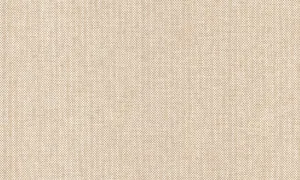 42074A Scope - Linen