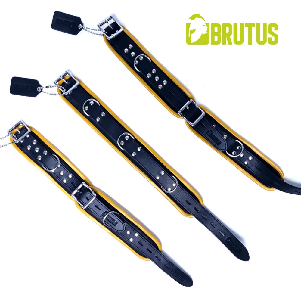 Brutus - Lederen Zwart/Gele Afsluitbare Collar