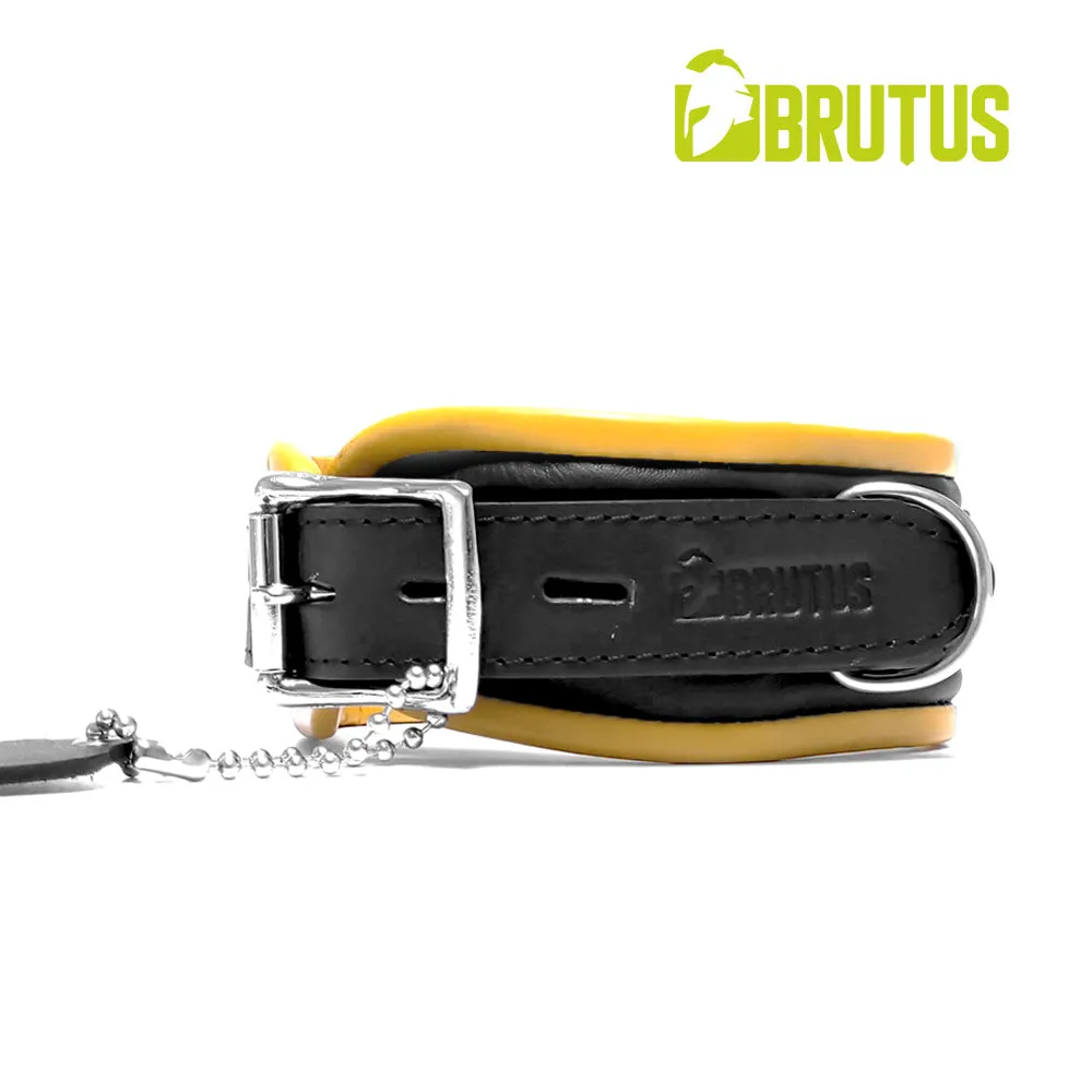 Brutus - Lederen Zwart/Gele Afsluitbare Collar