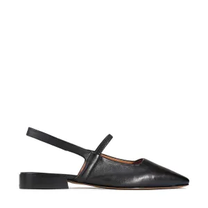 EOS Sonu Black