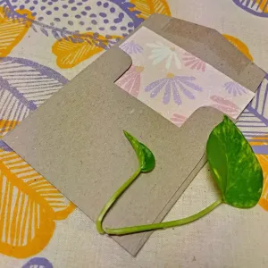 Nurturing Nature Cards: Sally Plantable Card