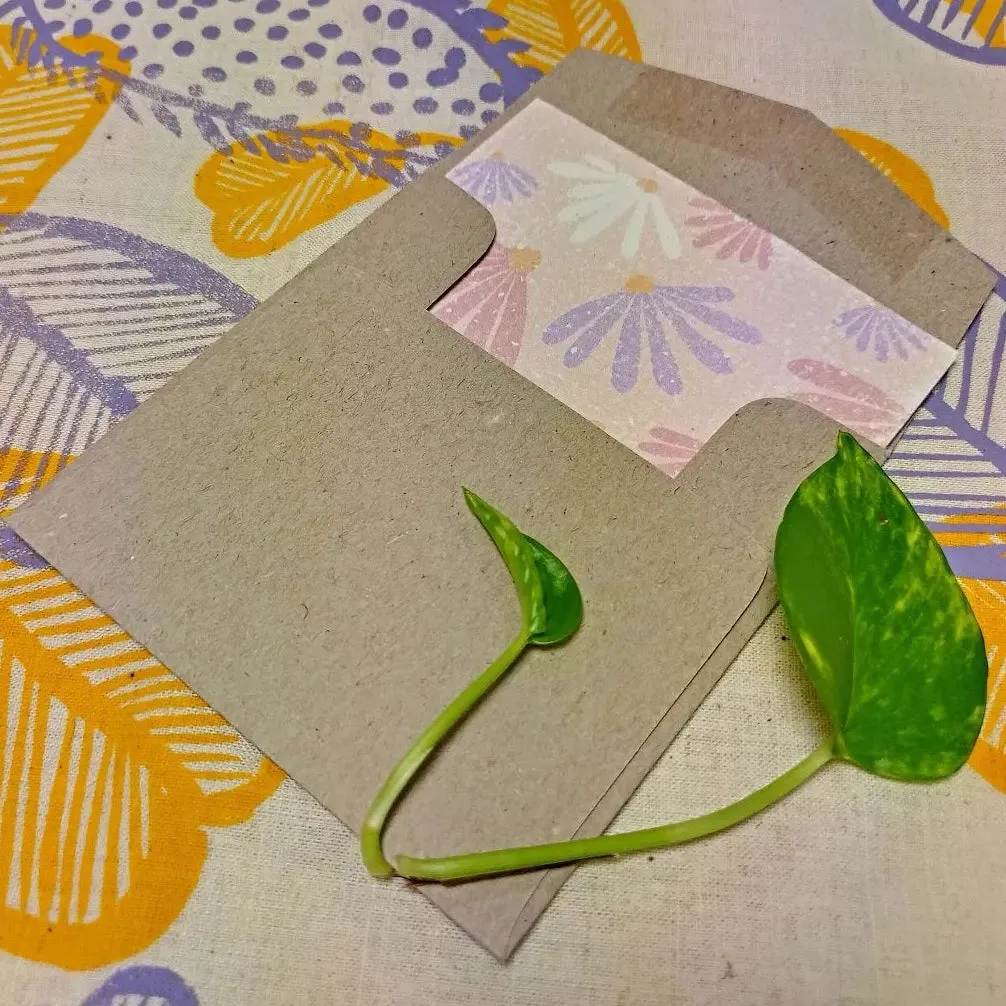 Nurturing Nature Cards: Sally Plantable Card