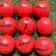 Rukket 3" 16oz Weighted Heavy Training Balls - Set of 9