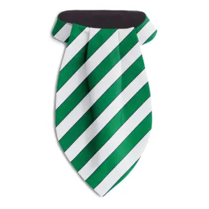 Scholastic Green/White - Ascots