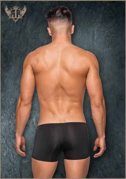 Sleek Sheer Short - Black -